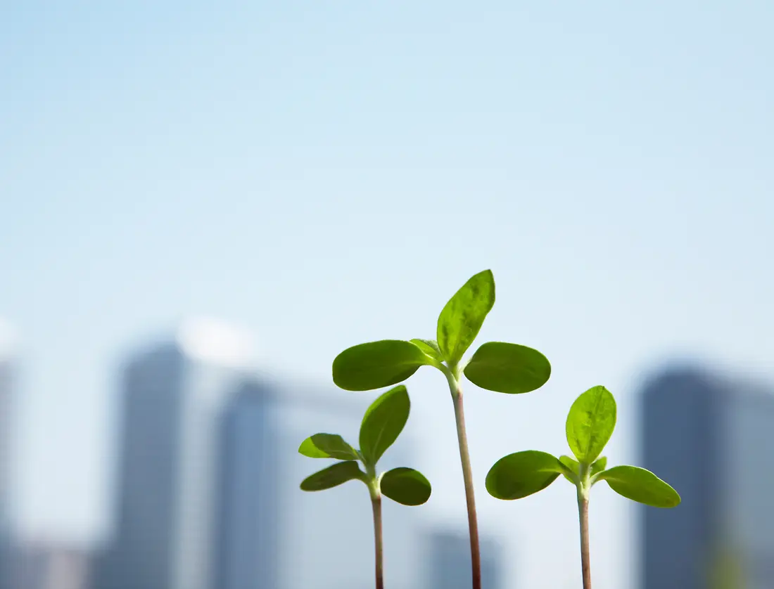 たなか不動産株式会社