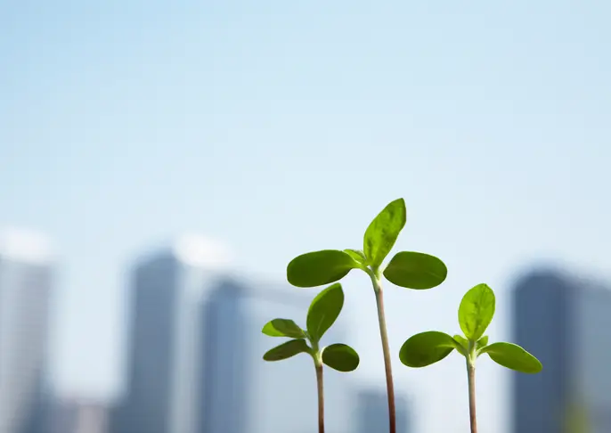 たなか不動産株式会社の集合写真