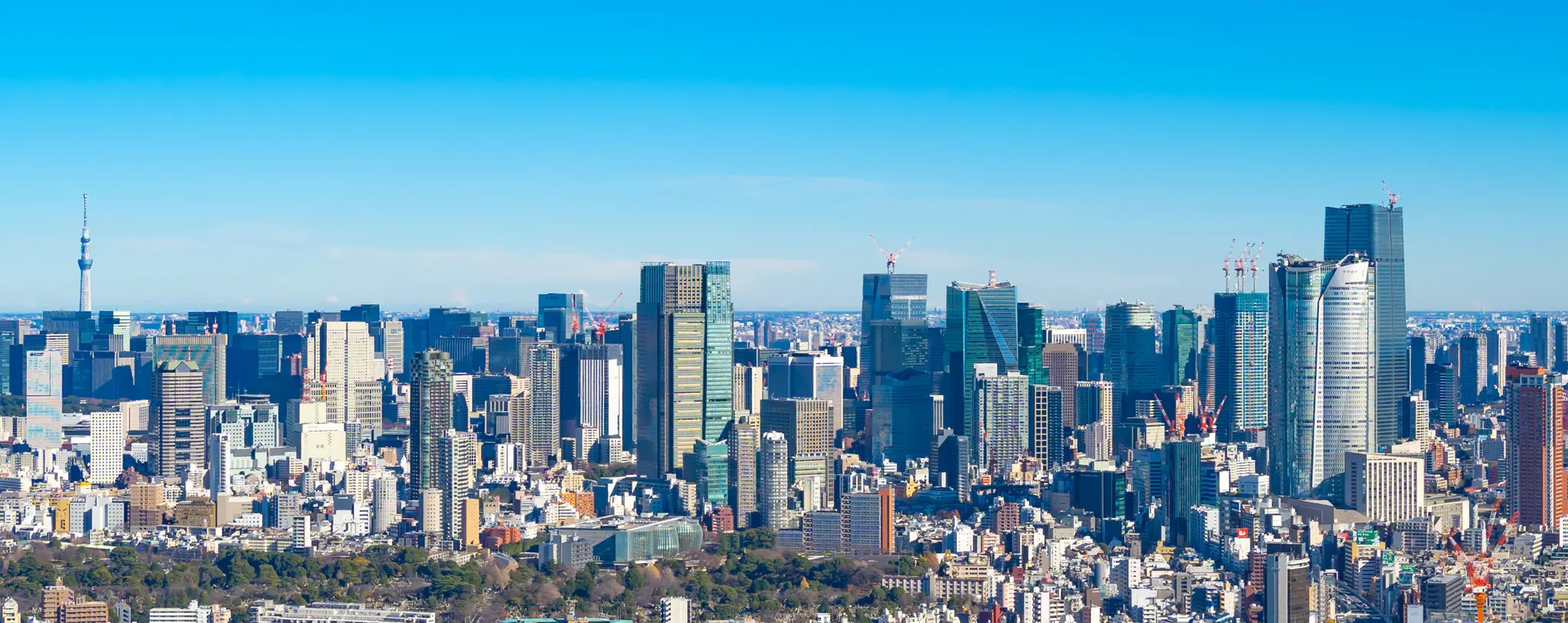 たなか不動産株式会社